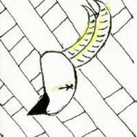 The Mountain Goats : Taboo VI : The Homecoming